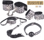 Leopard set -5