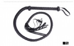 Long whip